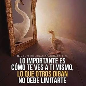 Meet your Posher, Lurvin